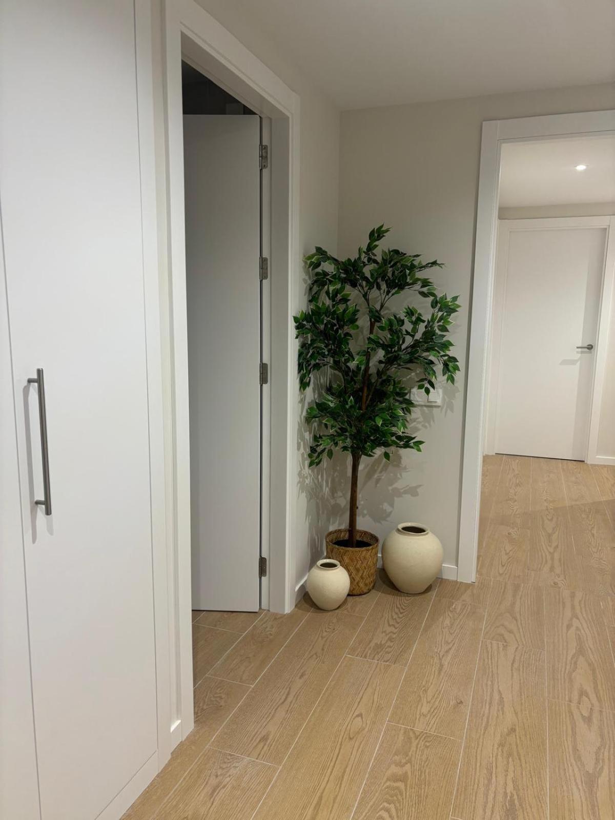 Galiciaguesthome -Pardo Bazan-Silgar سانكسينكسو المظهر الخارجي الصورة